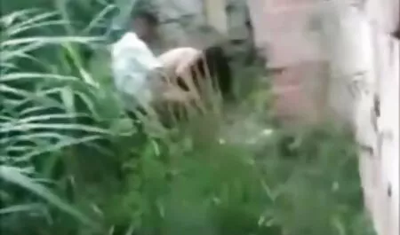 नर्ड सिटी हिंदी मूवी सेक्सी पिक्चर