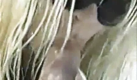 सफेद ब्लास्ट 2 ब्लास्ट bf पिक्चर सेक्सी मूवी और हब्बी को साफ करें