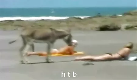 बदसूरत फुल मूवी सेक्सी पिक्चर बौना जानवर सेक्सी महिला fucks
